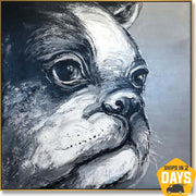BULLDOG BENNY 80x80 cm