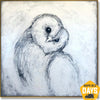 BARN OWL 100x100 cm